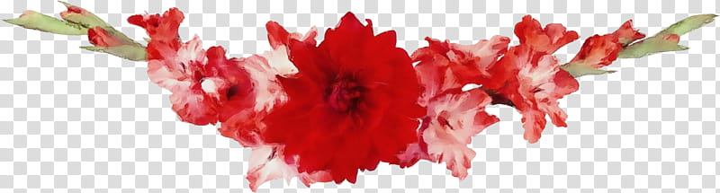 red cut flowers petal carnation pink family, Flower Border, Flower Background, Floral Line, Watercolor, Paint, Wet Ink transparent background PNG clipart