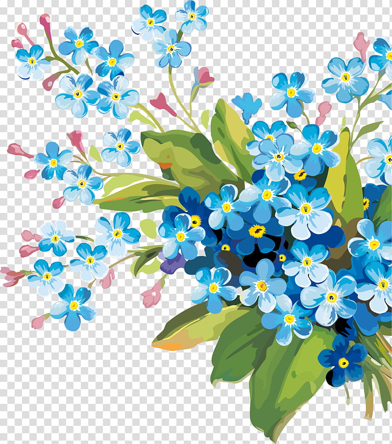 flower plant forget-me-not branch flowering plant, Forgetmenot, Bouquet, Wildflower, Borage Family transparent background PNG clipart