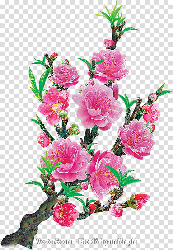 Floral Spring Flowers, Floral Design, Cut Flowers, Flower Bouquet, Petal, Peach, Blossom, Artificial Flower transparent background PNG clipart