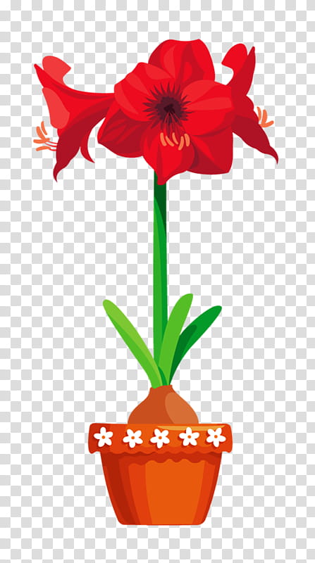 Flowers, Bulb, Jersey Lily, Flowerpot, Plants, Pansy, Garden, Amaryllis transparent background PNG clipart