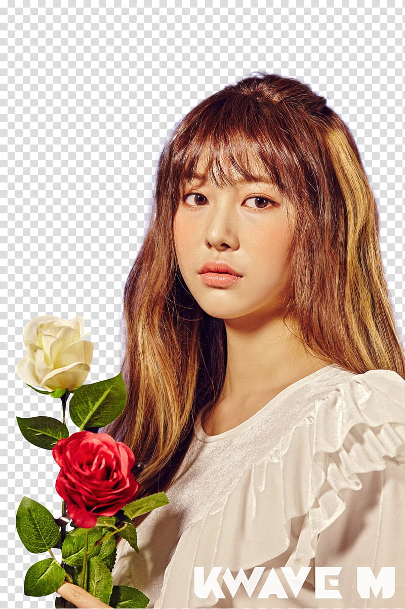 MOMOLAND , woman in pink dress holding red and white rose flowers transparent background PNG clipart