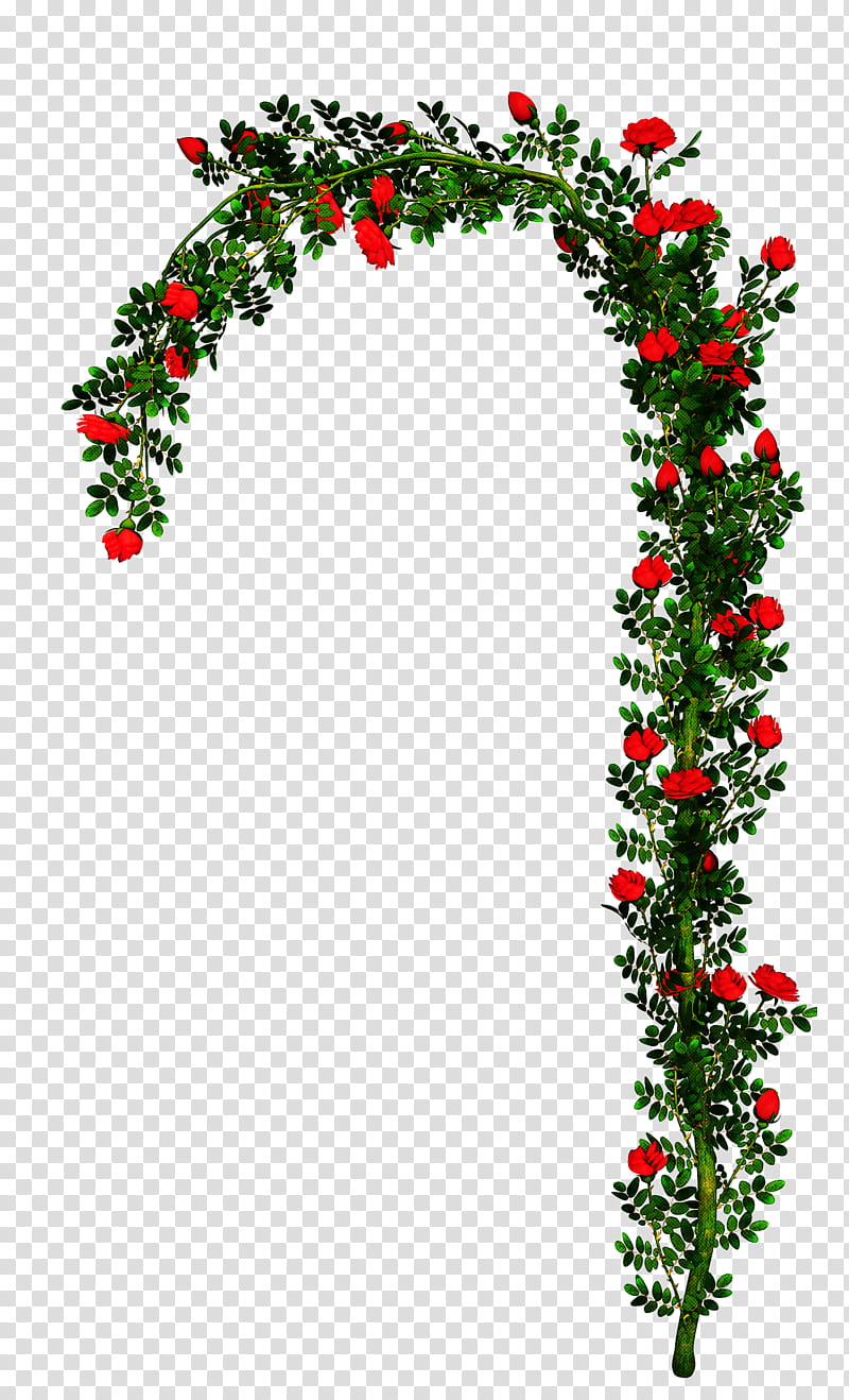 Christmas Decoration Drawing, Rose, Arch, Shrub, Rose Family, Garden Roses, Flower, Plant transparent background PNG clipart