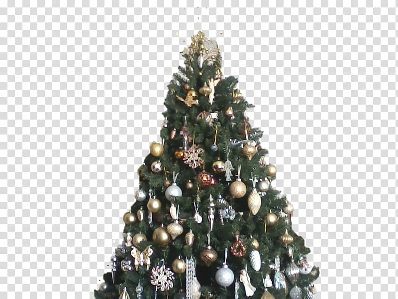 Christmas Black And White, Christmas Tree, Christmas Ornament, Spruce, Fir, Christmas Day, Pine, Balsam Fir transparent background PNG clipart