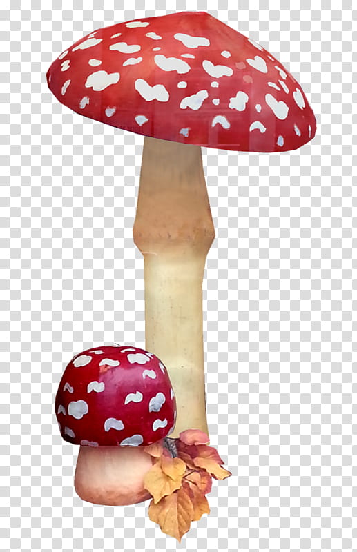 Mushroom, Fly Agaric, Fungus, Common Mushroom, Drawing, Cartoon, Flower, Point transparent background PNG clipart