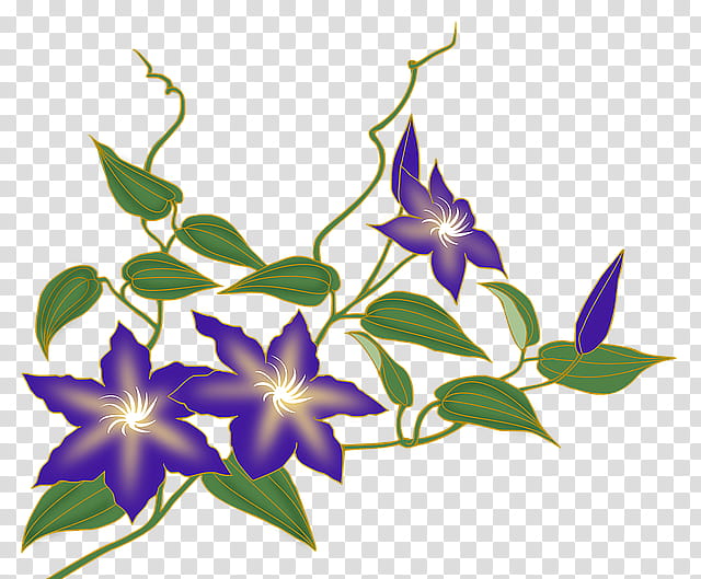 Flower Vine, Leather Flower, Trumpet Vines, Plants, Purple, Periwinkle, Bellflower Family, Petal transparent background PNG clipart