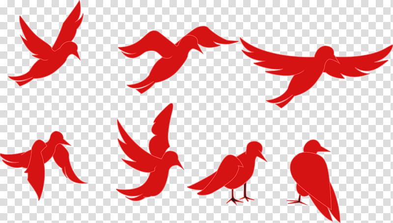 Bird Silhouette animation Video Film, Cartoon, Flash Animation, Red, Wing, Beak transparent background PNG clipart