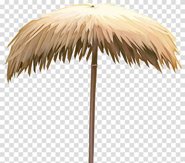 Palm Tree, Umbrella, Beach, Antuca, , Can , Thatching, transparent background PNG clipart