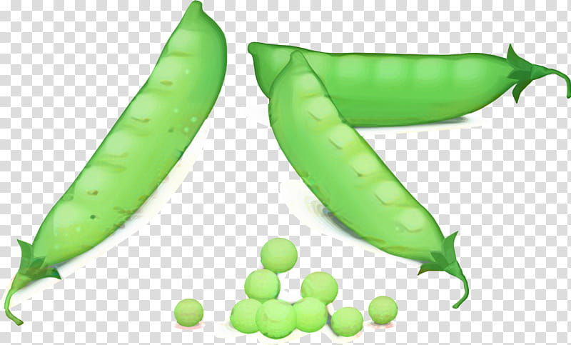 Background Green, Snap Pea, Serrano Pepper, Food, Lima Bean, Superfood, Commodity, Green Pea transparent background PNG clipart