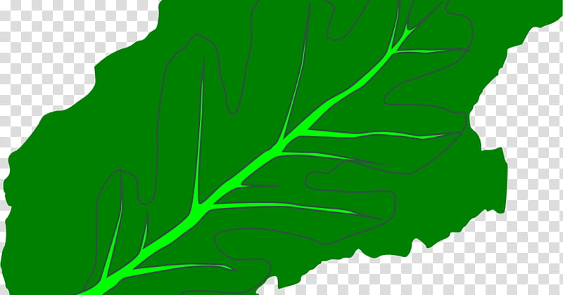 Green Grass, Leaf, Greens, Plant Stem, Tree, Flora, Leaf Vegetable transparent background PNG clipart