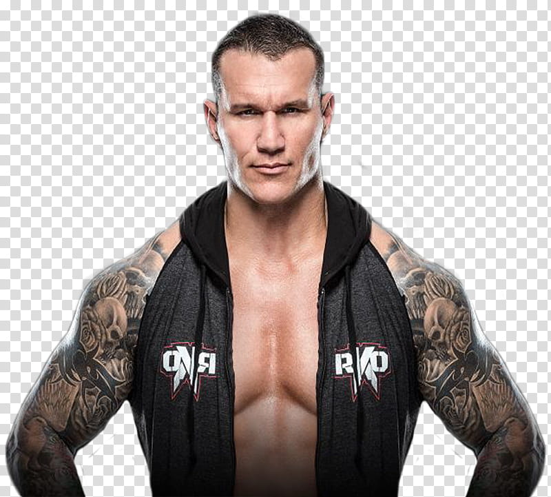 Randy Orton  Render transparent background PNG clipart