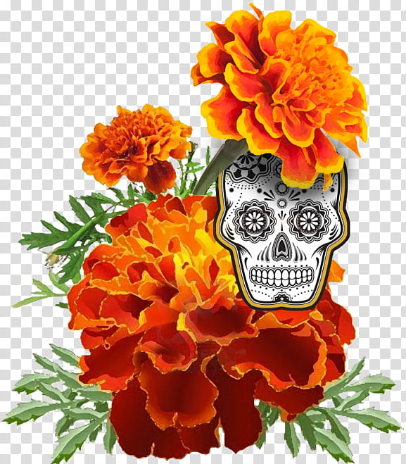 Day Of The Dead Skull, Mexican Marigold, Drawing, Flower, Calavera, Floral Design, Tagetes, English Marigold transparent background PNG clipart