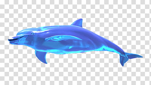 AESTHETIC S, blue dolphin transparent background PNG clipart