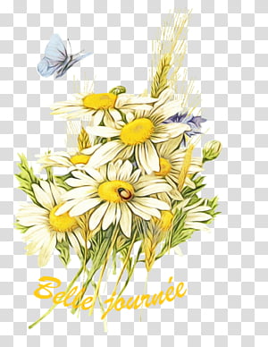 Flowers Oxeye Daisy Birthday Common Daisy Blog Joyeux Anniversaire Cathy Floral Design Chrysanthemum Transparent Background Png Clipart Hiclipart