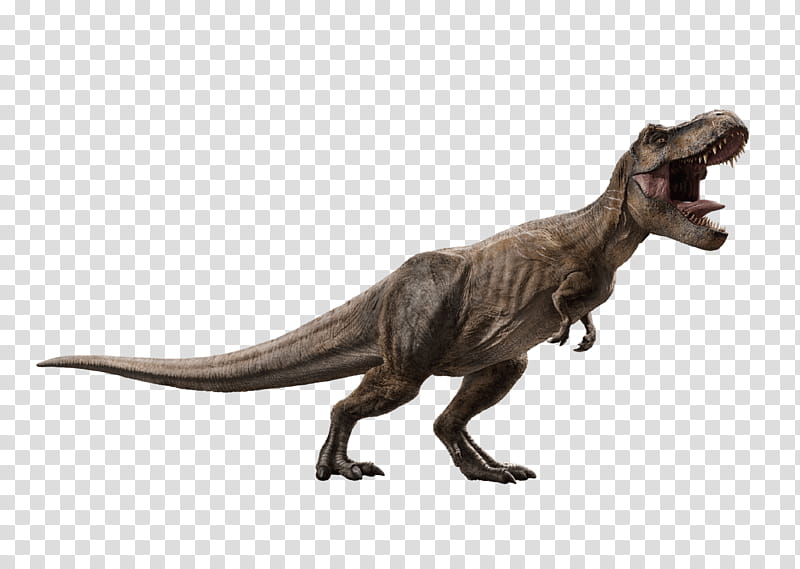 T Rex transparent background PNG clipart