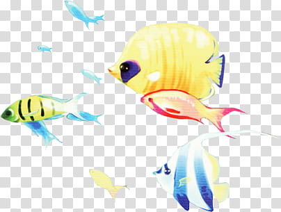 Fishes Pescaditos, assorted-color fish illustration transparent background PNG clipart