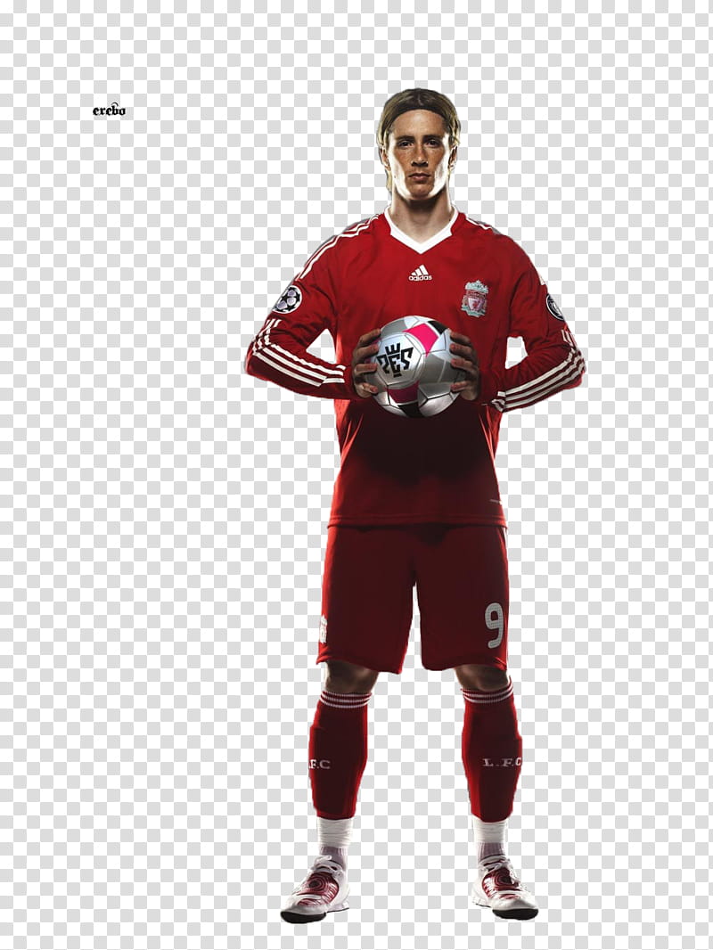 Fernando Torres transparent background PNG clipart