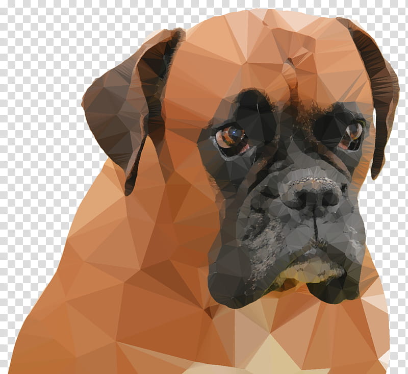 Mouth, Boxer, Bulldog, American Bulldog, Dobermann, Valley Bulldog, Boston Terrier, Puppy transparent background PNG clipart