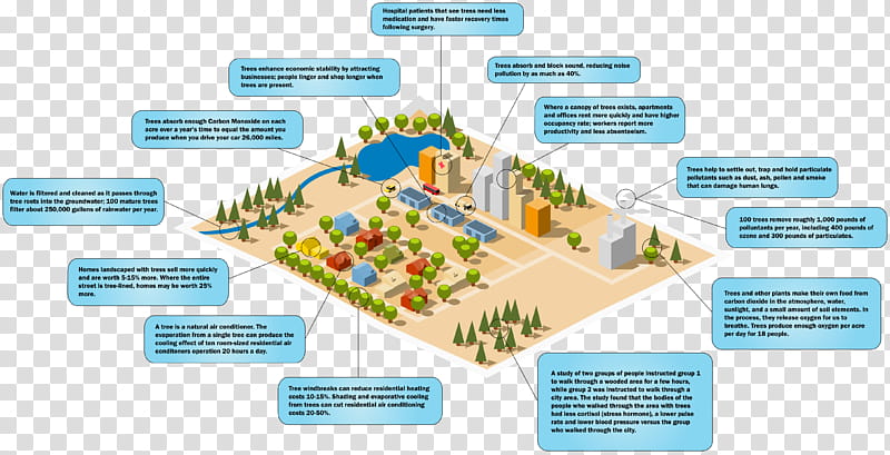 Plan Tree, Diagram, Interior Design Services, Site Plan, Urban Design, Urban Planning, Biome, World transparent background PNG clipart