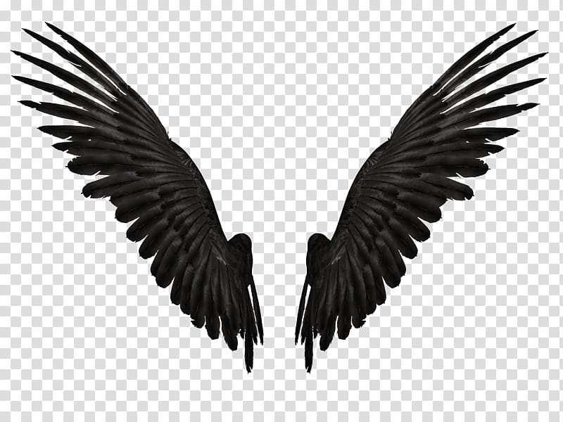 Feathered Wings A , pair of black wings illustration transparent background PNG clipart