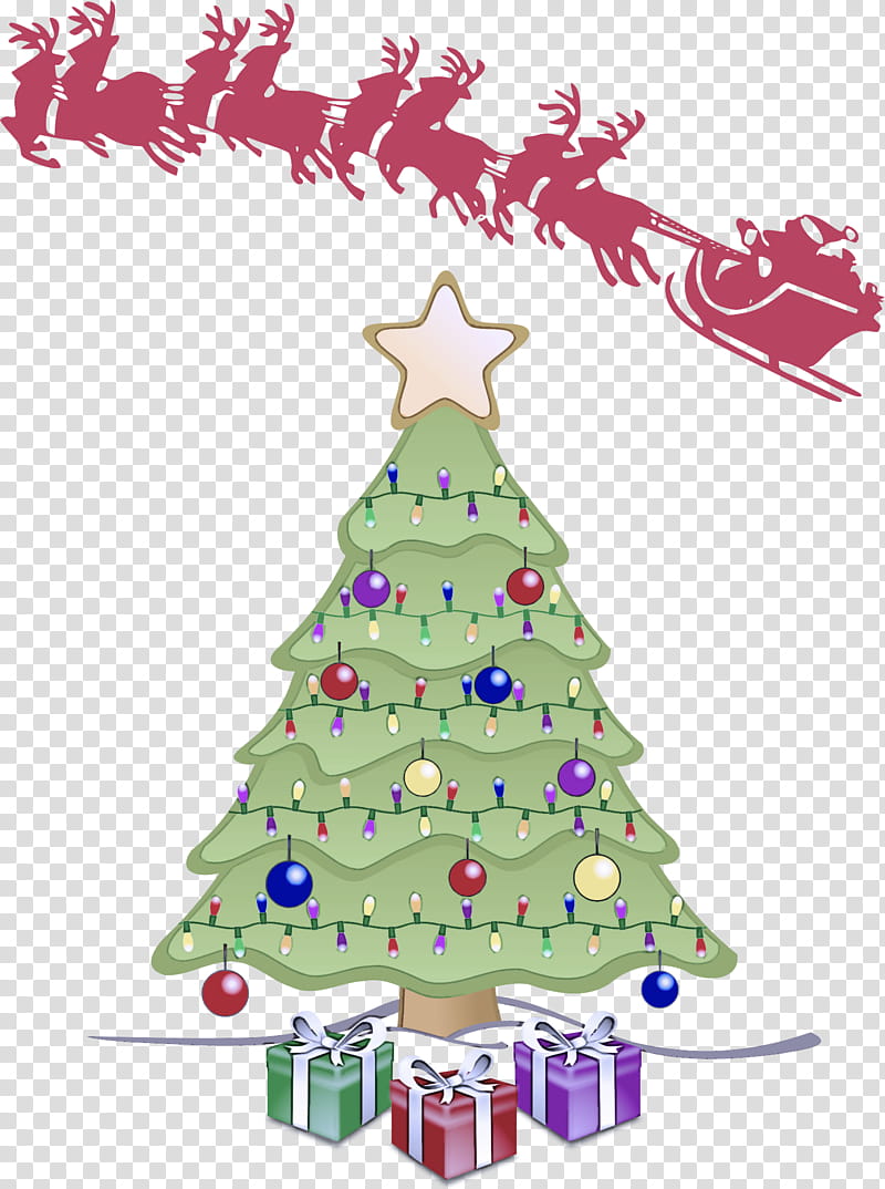 Christmas tree, Oregon Pine, Colorado Spruce, Christmas Decoration, Christmas , Christmas Ornament, Christmas Eve, Holiday Ornament transparent background PNG clipart Christmas tree, Oregon Pine, Colorado Spruce, Christmas Decoration, Christmas , Christmas Ornament, Christmas Eve, Holiday Ornament transparent background PNG clipart