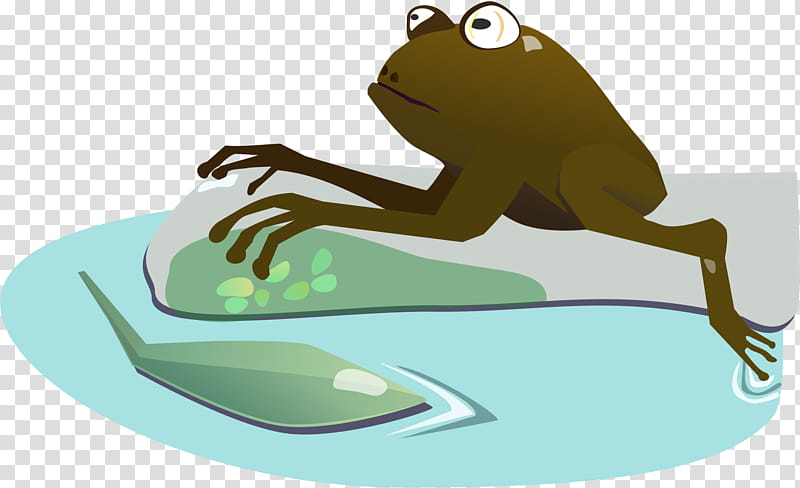 Frog, Tree Frog, Toad, Base64, Wetland, Codage, Character Encoding, Encodingdecoding Model Of Communication transparent background PNG clipart
