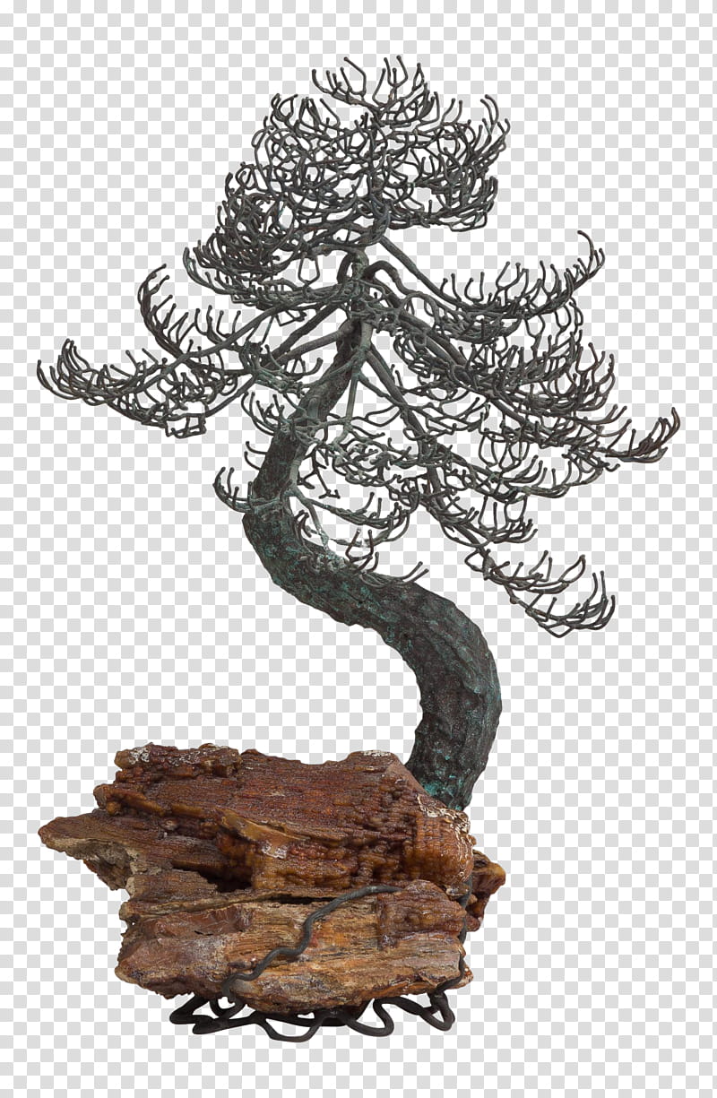 Bonsai Tree, Bronze, Wood, Sculpture, Brass, Drawing, Table, Marble transparent background PNG clipart