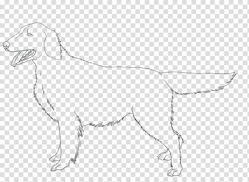 Flat Coated Retriever Line Art, golden retriever outline transparent background PNG clipart