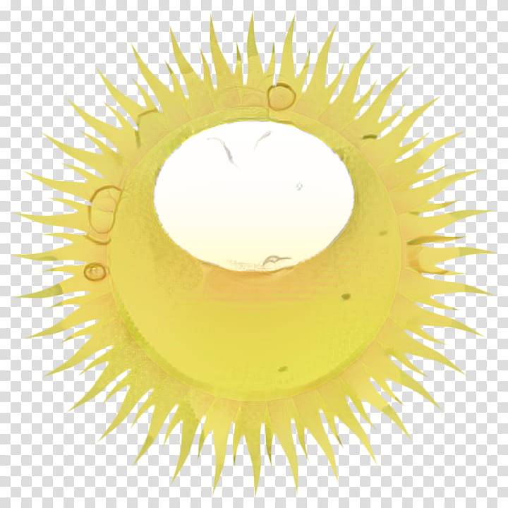 Summer Sunlight, Summer
, Yellow, Circle, Iris transparent background PNG clipart