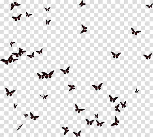 Butterfly Silhouette, Insect, Borboleta, Glasswing Butterfly, Editing, Lepidoptera, Flock, Bird Migration transparent background PNG clipart