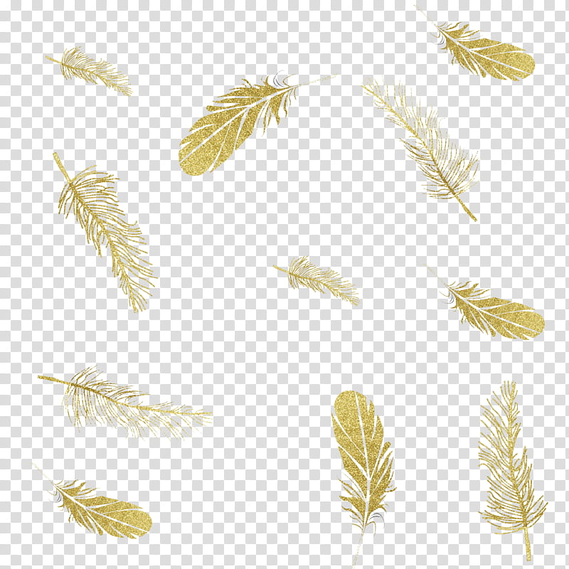 Gold, Feather, Ink, Quill, FEATHER BOA, Sticker, Yellow, Pen transparent background PNG clipart