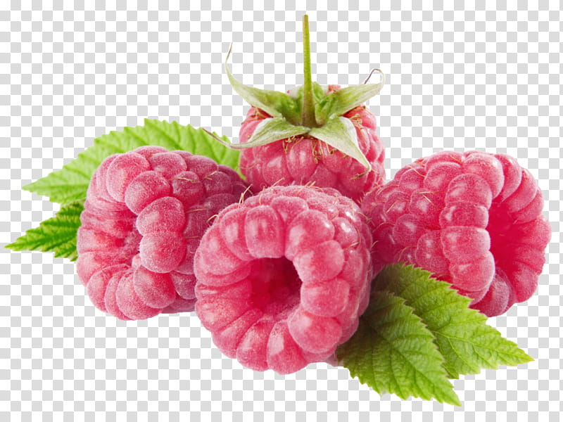Fruit, Raspberry, Berries, Blackberry, Food, Red Raspberry, Tayberry, Black Raspberry transparent background PNG clipart