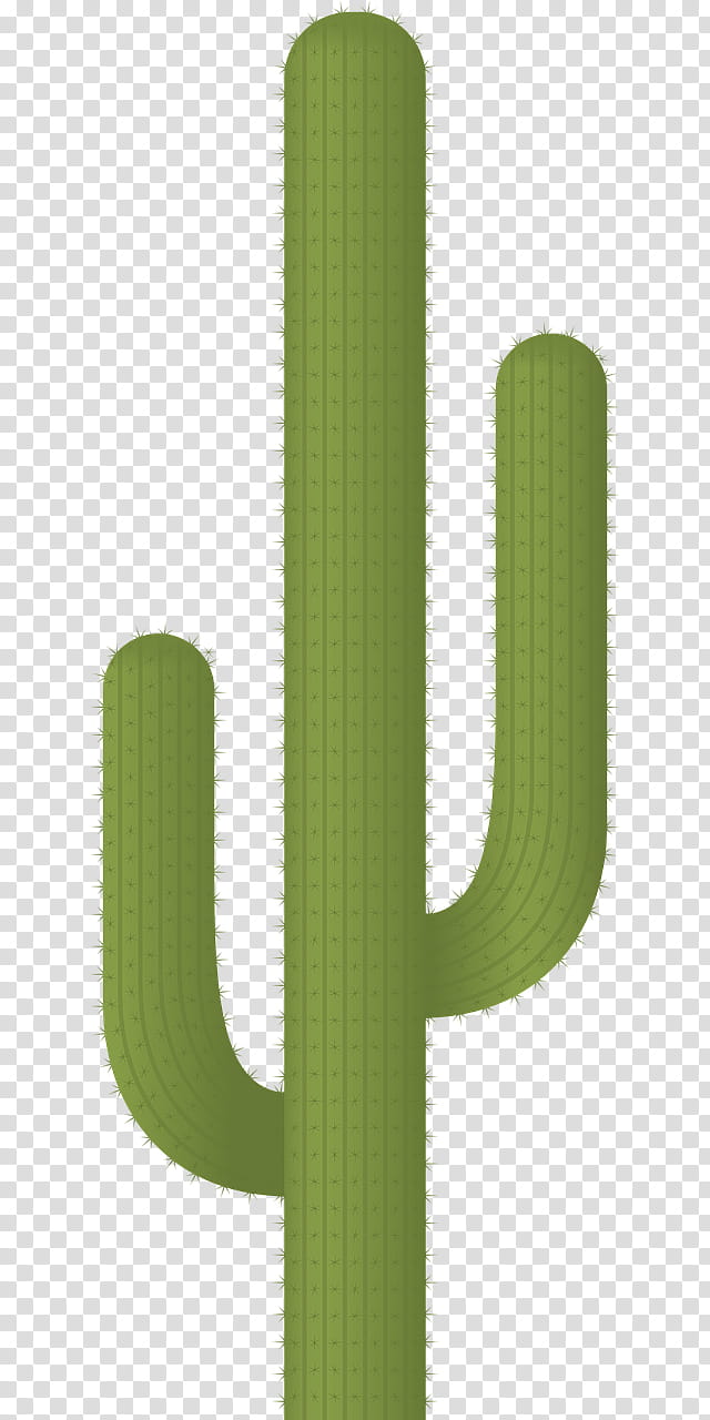 Cactus, Succulents And Cactus, Thorns Spines And Prickles, Plants, Succulent Plant, Saguaro, Desert, Grass transparent background PNG clipart