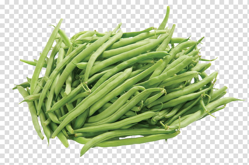 vegetable green bean plant food grass, Ingredient, Common Bean transparent background PNG clipart