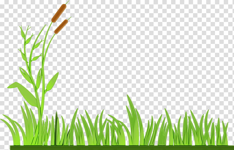 Drawing Of Family, Lawn, Lawn Mowers, Black And White Grass, Silhouette, Green, Vegetation, Plant transparent background PNG clipart