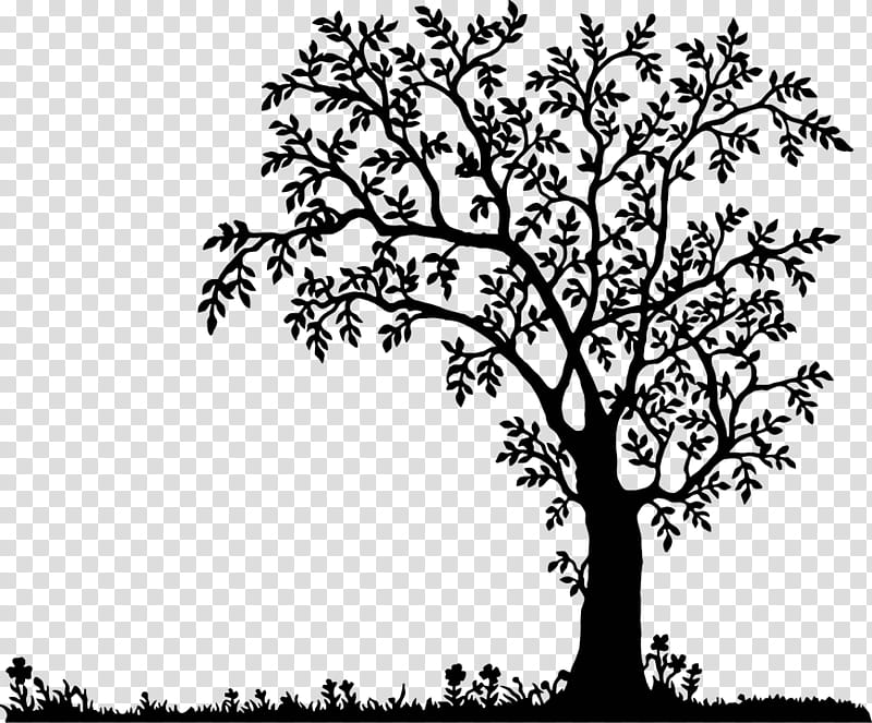 Tree Trunk Drawing, Silhouette, Line Art, Landscape, Coloring Book, Branch, Woody Plant, Leaf transparent background PNG clipart