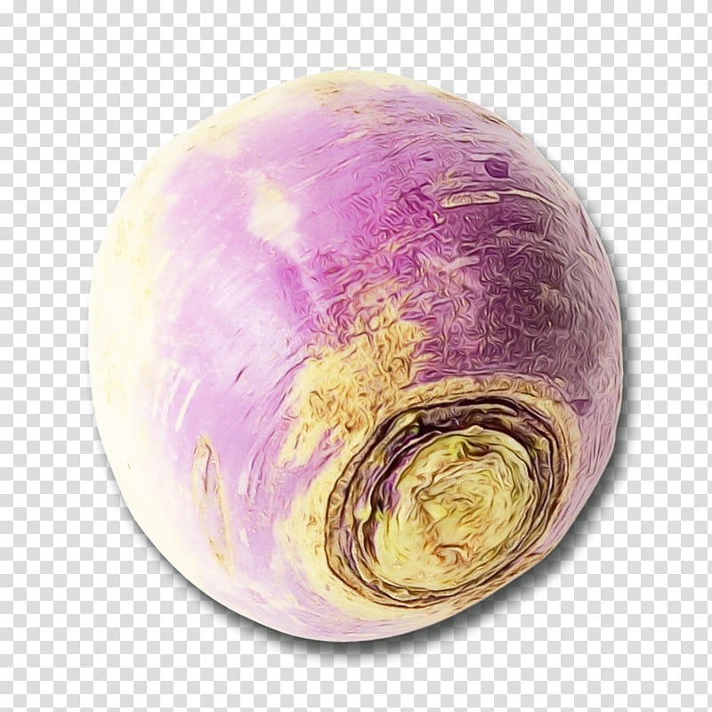 violet purple vegetable rutabaga plant, Watercolor, Paint, Wet Ink, Cabbage transparent background PNG clipart