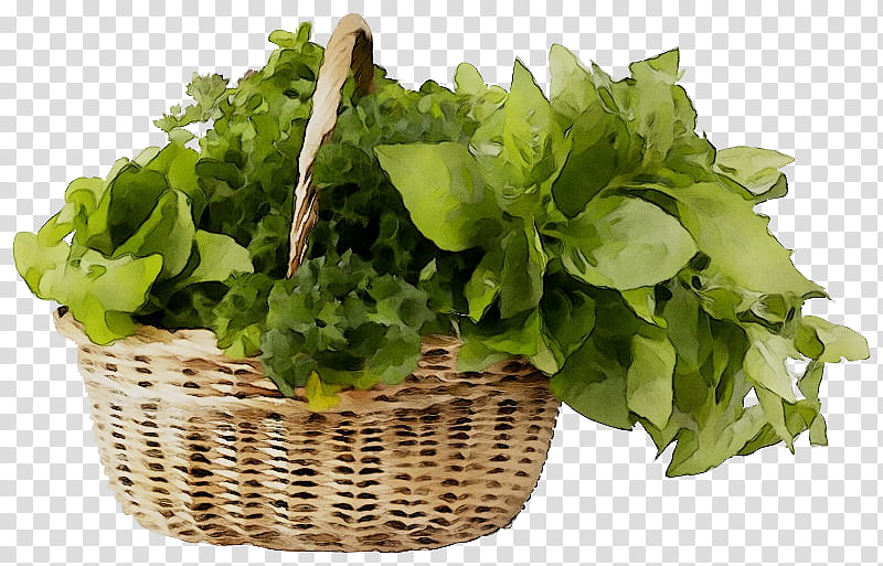 Spring, Spring Greens, Romaine Lettuce, Herb, Leaf Vegetable, Plant, Flower, Sorrel transparent background PNG clipart