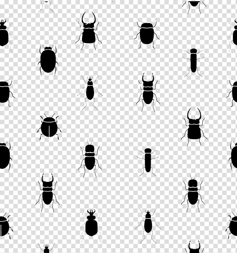 Seamless Beetle Pattern FREE transparent background PNG clipart
