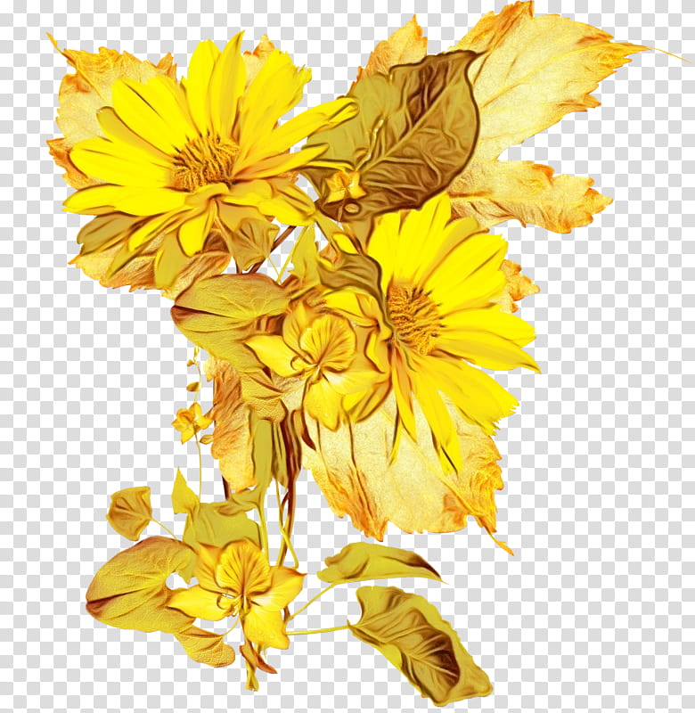 Watercolor Floral, Paint, Wet Ink, Common Sunflower, Floral Design, Cut Flowers, Chrysanthemum, Jerusalem Artichoke transparent background PNG clipart