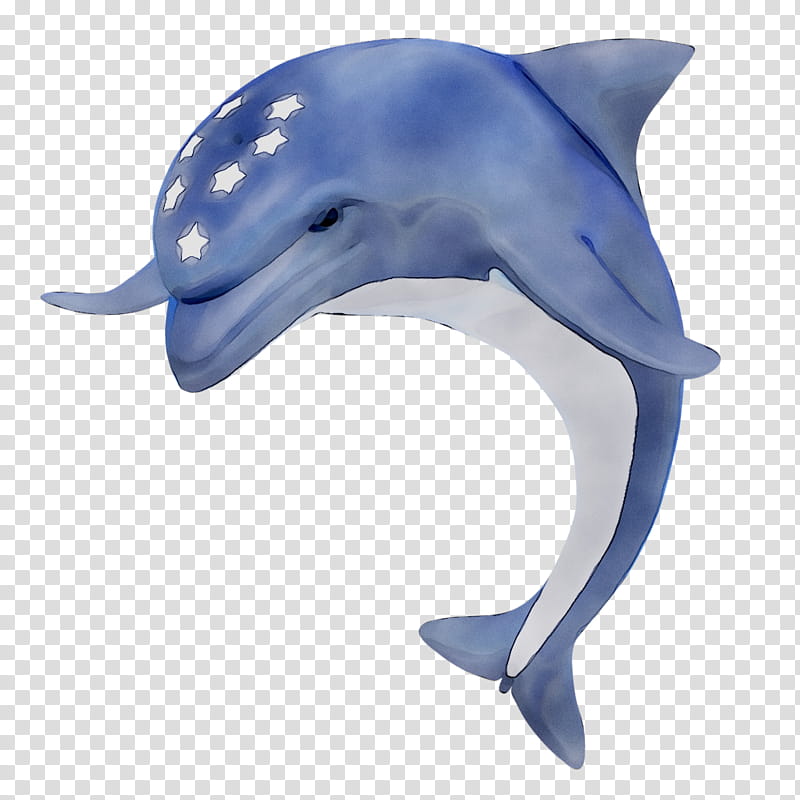 Dolphin, Wholphin, Roughtoothed Dolphin, Shortbeaked Common Dolphin, Longbeaked Common Dolphin, Cobalt Blue, Biology, Animal transparent background PNG clipart