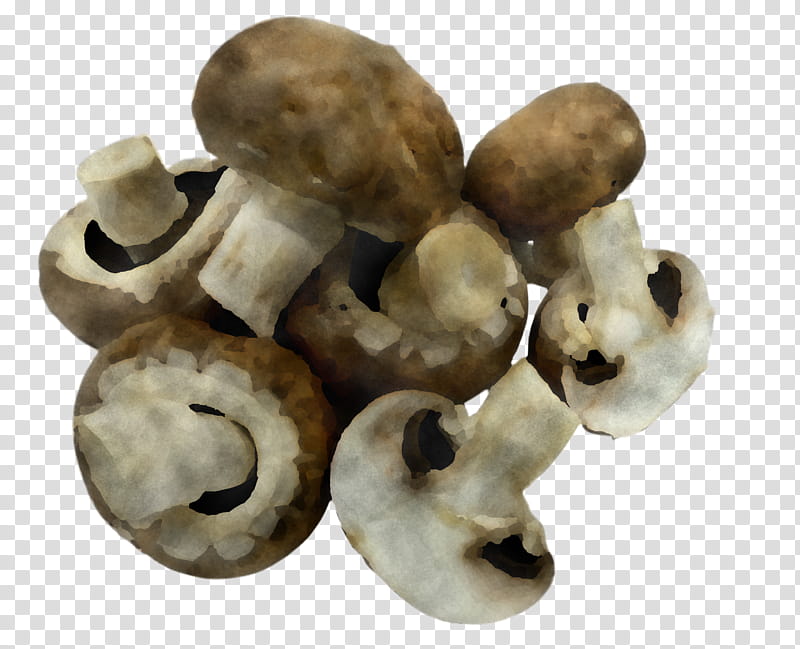 champignon mushroom mushroom bone figurine agaricus, Skull, Beige, Oyster Mushroom transparent background PNG clipart