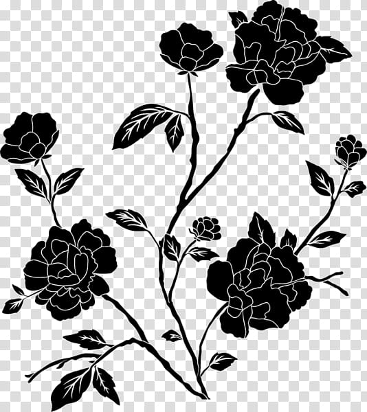 Black And White Flower, Black Rose, Drawing, Garden Roses, Plant, Leaf, Blackandwhite, Pedicel transparent background PNG clipart