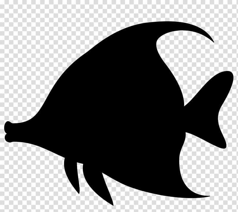 Whale, Dolphin, Silhouette, Beak, Fish, Fin, Bottlenose Dolphin, Cetacea transparent background PNG clipart