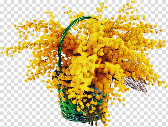 Mimosa, Yellow, Plant, Flower, Smile transparent background PNG clipart