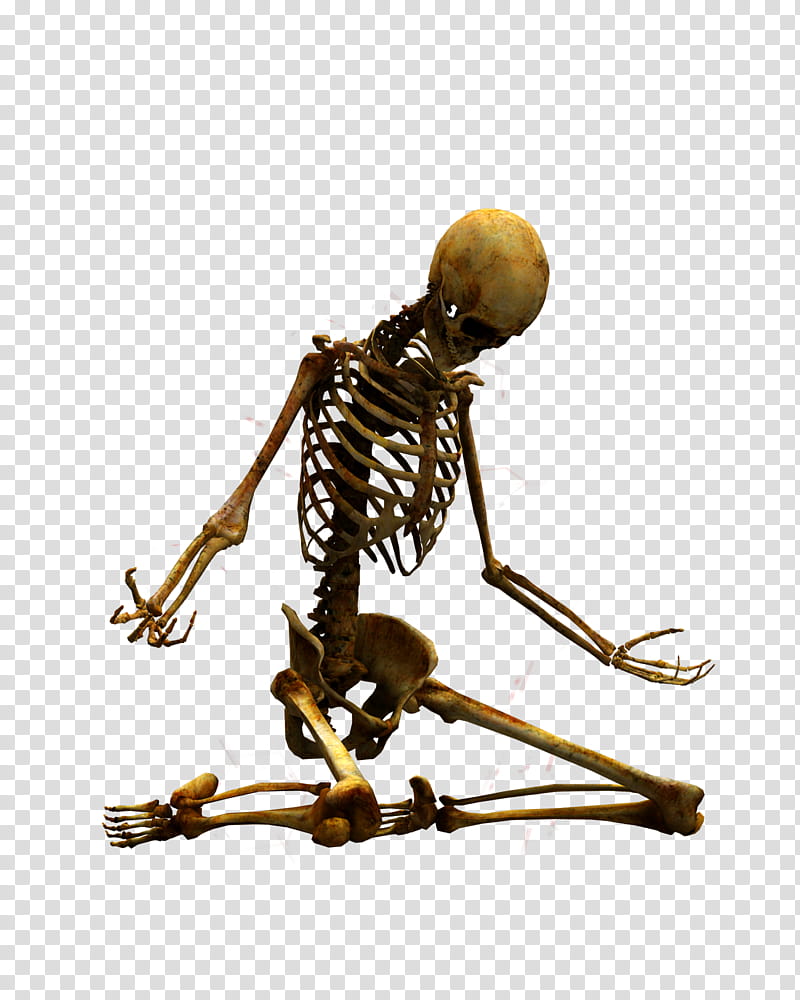E S Bones I, kneeling skeleton illustration transparent background PNG clipart