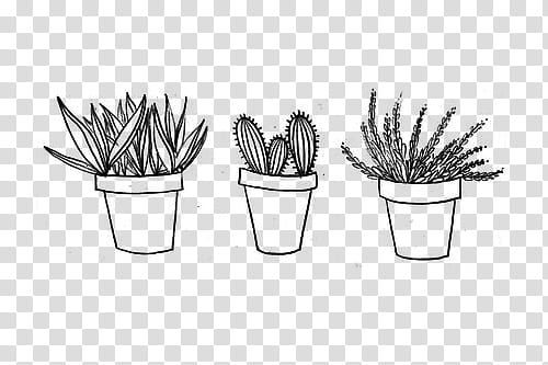 Pale s, three plant on pot illustration transparent background PNG clipart Pale s, three plant on pot illustration transparent background PNG clipart