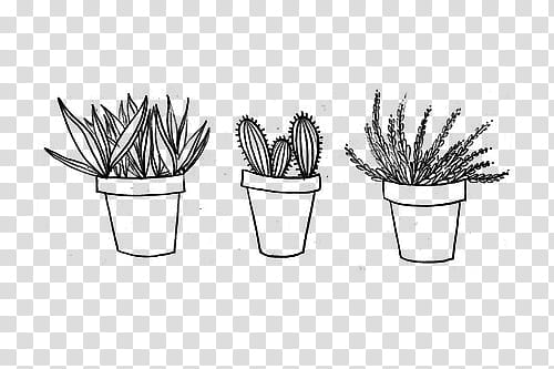 Pale s, three plant on pot illustration transparent background PNG clipart