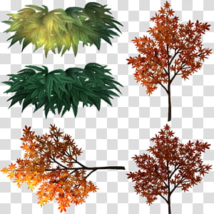 MMD Stage Japanese Garden at Night DL, several assorted-color leaves transparent background PNG clipart thumbnail