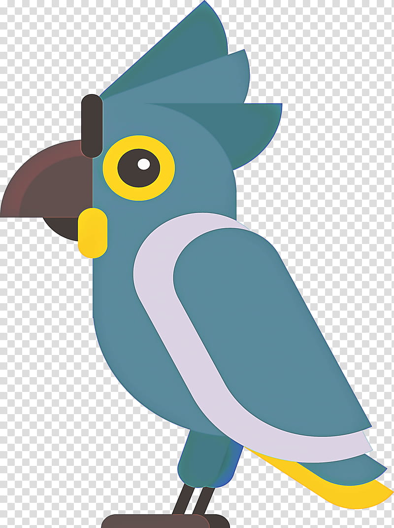 bird beak parrot transparent background PNG clipart bird beak parrot transparent background PNG clipart