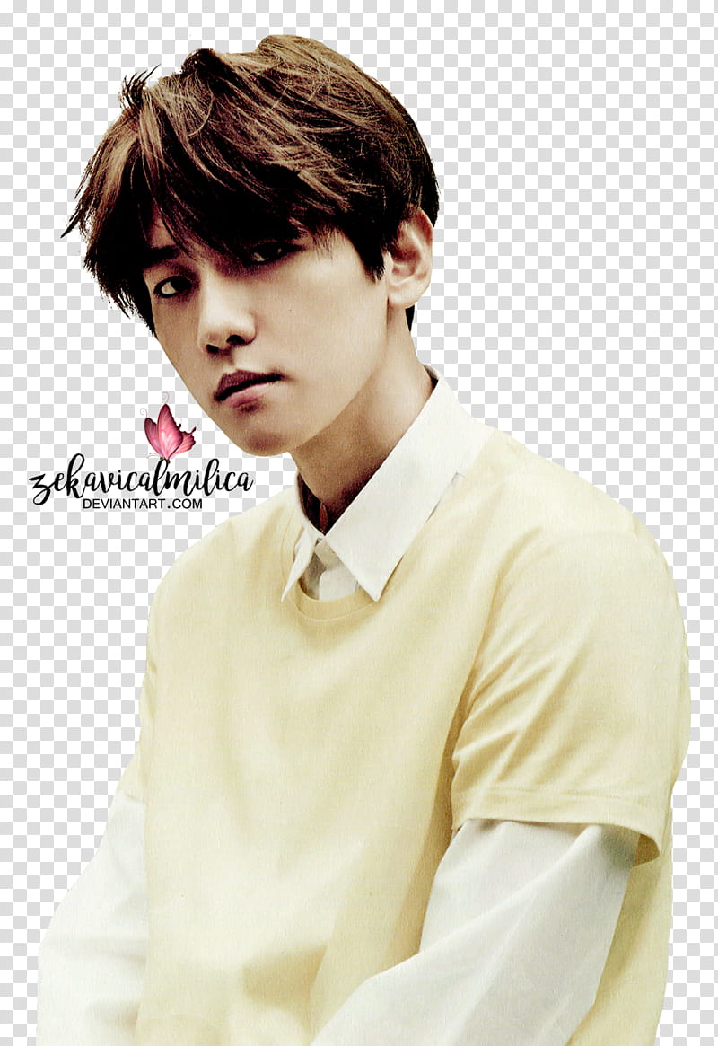 EXO Baekhyun Love Me Right transparent background PNG clipart